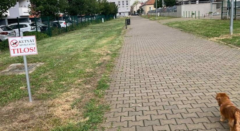 Rejtélyes, kutyasétáltatást tiltó táblák jelentek meg egy győri sétányon