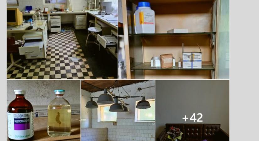 Kész döbbenet: kísérteties megtermékenyítő laborra bukkant egy hazai urbexes fotós