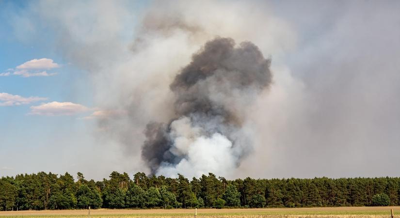 Nébih: hat vármegyében megszűnik keddtől a tűzgyújtási tilalom