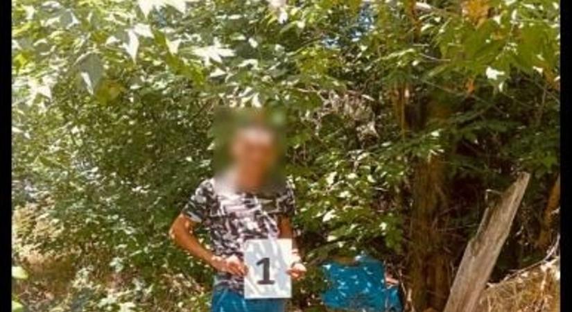 Drága zsákmányt dugtak el a debreceni erdőben – ott lapult a levelek alatt, bárki megtalálhatta volna