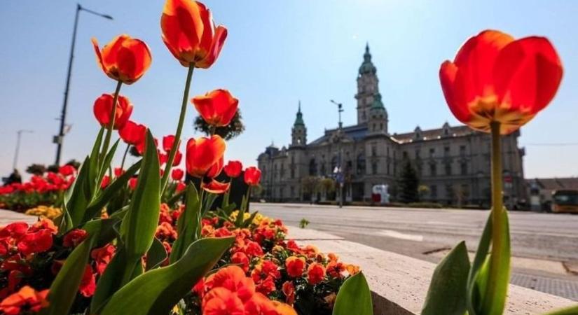 Óvatosabban toboroznak a cégek jelenleg, mint ahogyan azt év elején tervezték