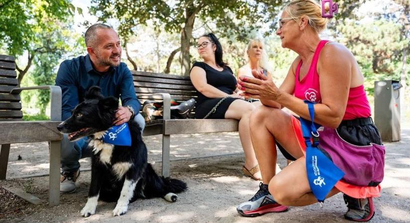 Ivartalanítás, veszettség elleni oltás és microchip – félmilliárd forint a felelős állattartásra