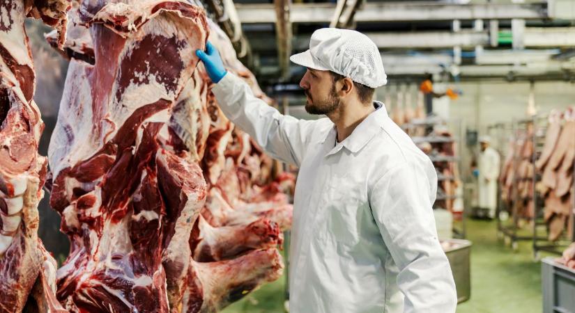 Szigorúbb uniós szabályok jönnek a húsüzemekben és vadfeldolgozóknál