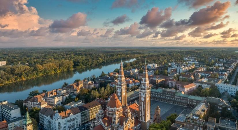 Megdöbbentő számok: ennyi fa tűnt el tavaly Szegeden és ez csak a kezdet?