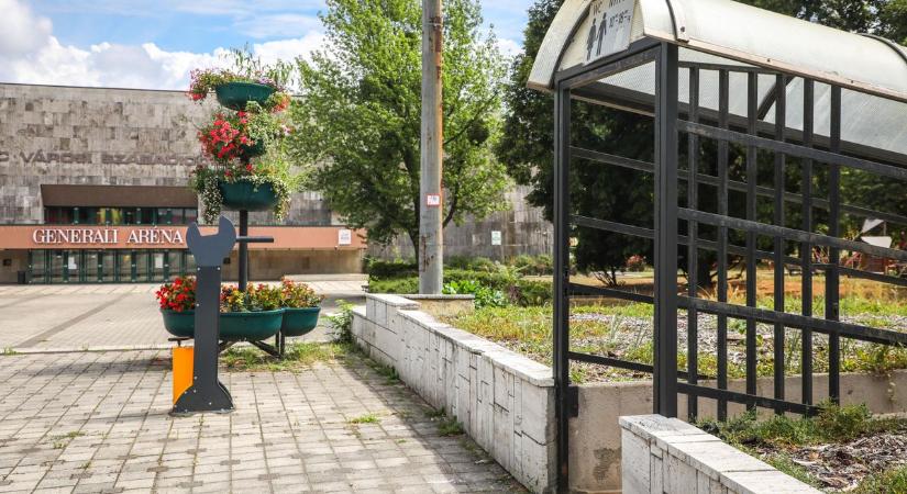 Már nem probléma, ha a Népkertben hirtelen ránk tör a szapora  fotók, videó