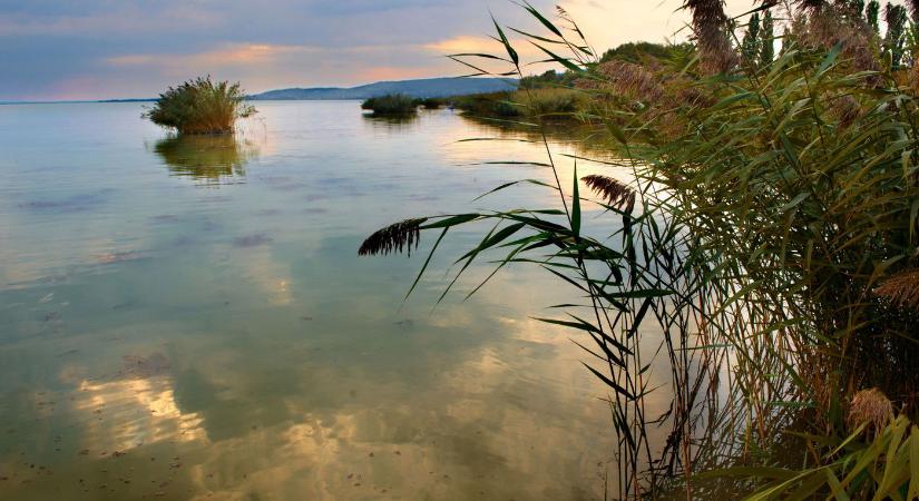 Belebuktak a Balaton legnagyobb fejlesztésébe, milliók bánhatják