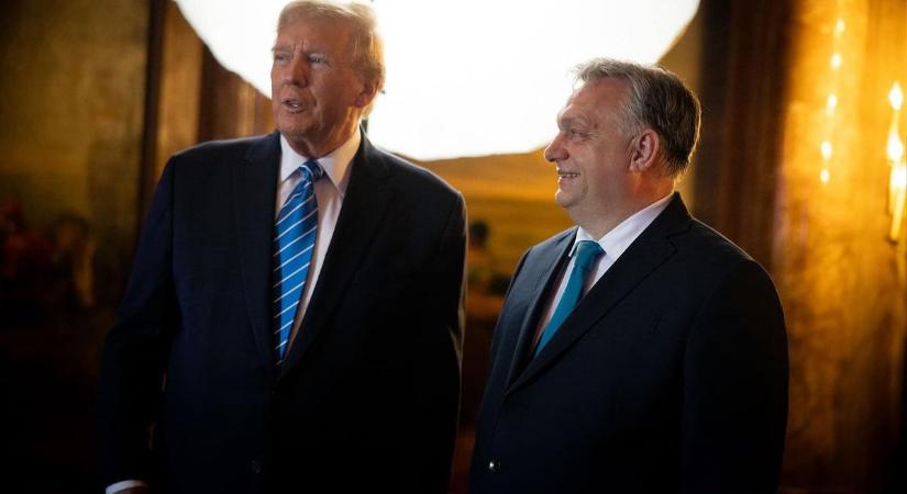 A Trump-gyűlölet és Trump-fóbia olyan méreteket öltött, hogy az ember szinte attól félt, meglincselik, ha kiejti Trump nevét