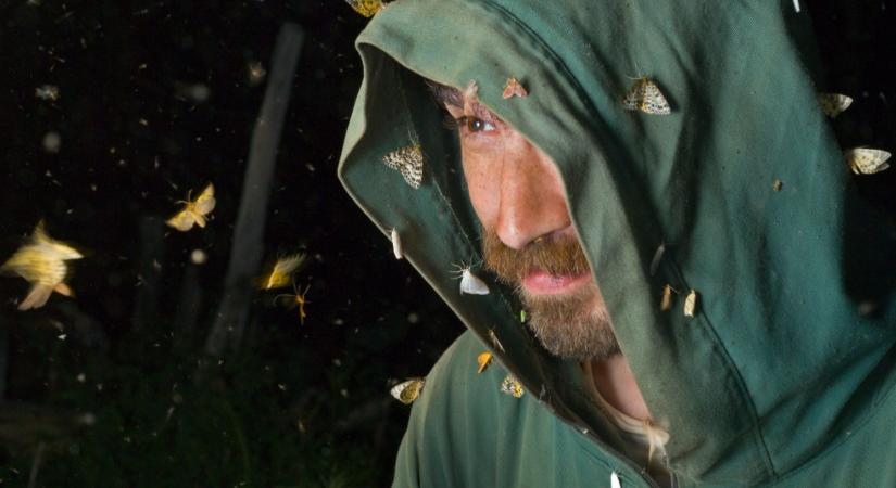 Szuperközeli fotók a Balaton-Felvidék titkos éjszakai életéről: ezt a ritka látványt!