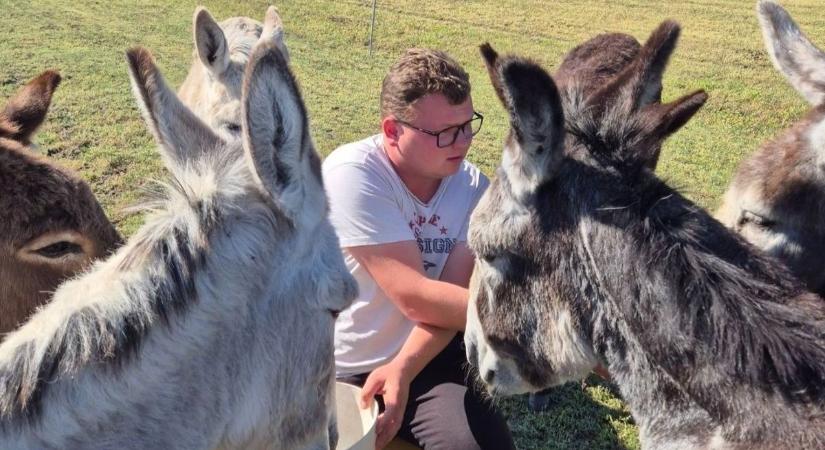 Megvan mikor nyit a Szamárfarm - Remek családi programmal készülnek