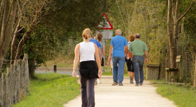 Ennyi lépést kellene naponta megtennie, hogy megelőzze a demenciát – nem, nem tízezret
