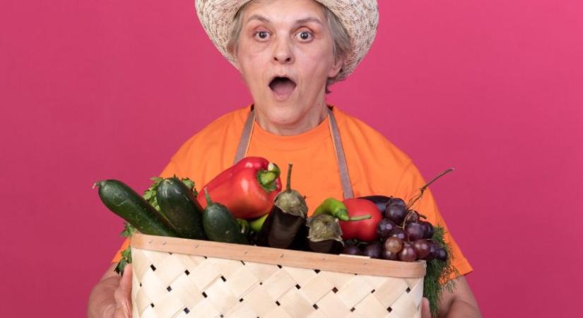 Ősszel kézbesítik az élelmiszer-utalványokat