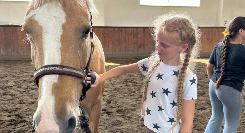 Több héten át szervezett lovastábort a KMNE