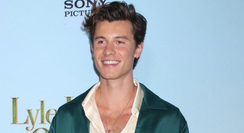 Shawn Mendes pultosnak állt a Sziget Fesztiválon: idén is megismételheti