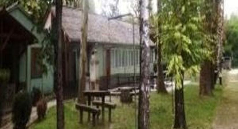 Dunaferr: Eladó a Kokszoló szabadidőparkja