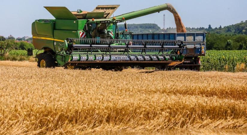 Vámos Zoltán: magyar gazdák nélkül, lájkokból és kommentekből nem lesz kenyerünk