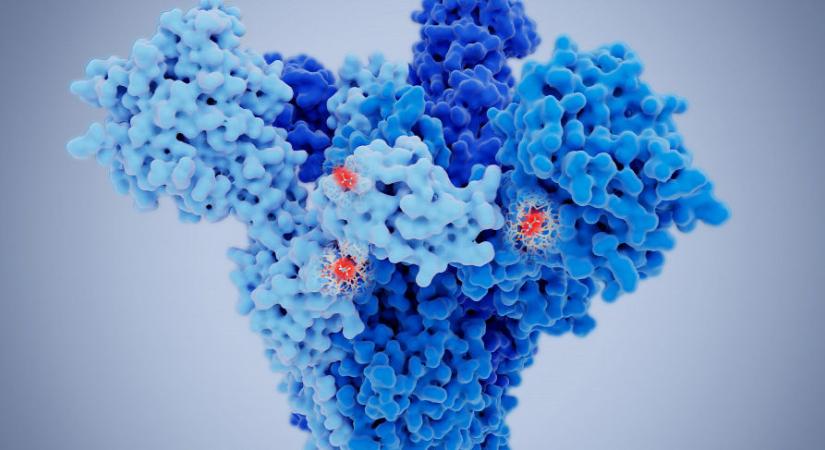 Ezt lehet tudni eddig a koronavírus új mutánsairól