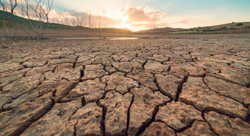 Megvan, milyen nyarak várnak ránk a jövőben: ez nagyon más lesz