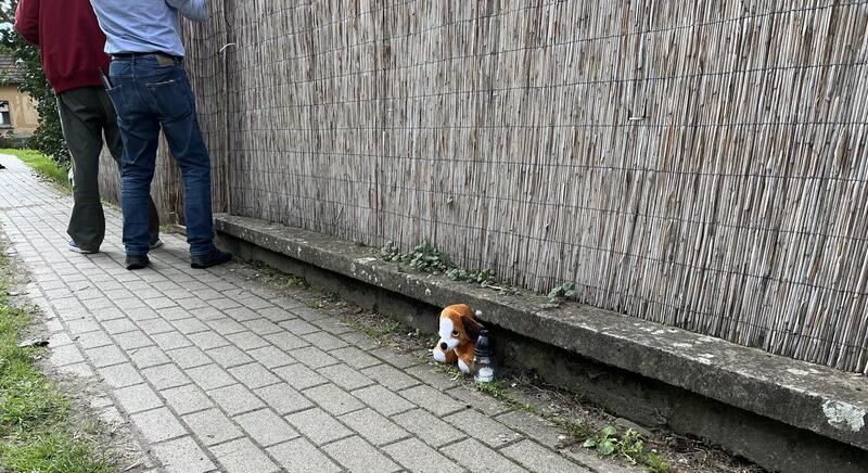 Álmában végzett két éves fiával a zákányi gyilkos