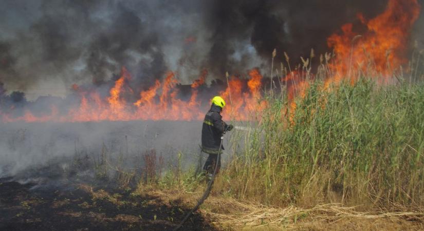 Visszavonták Somogyban a tűzgyújtási tilalmat