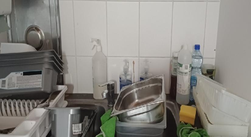 Rovarmaradványok is találhatóak néha a fagyizókban és strandbüfékben