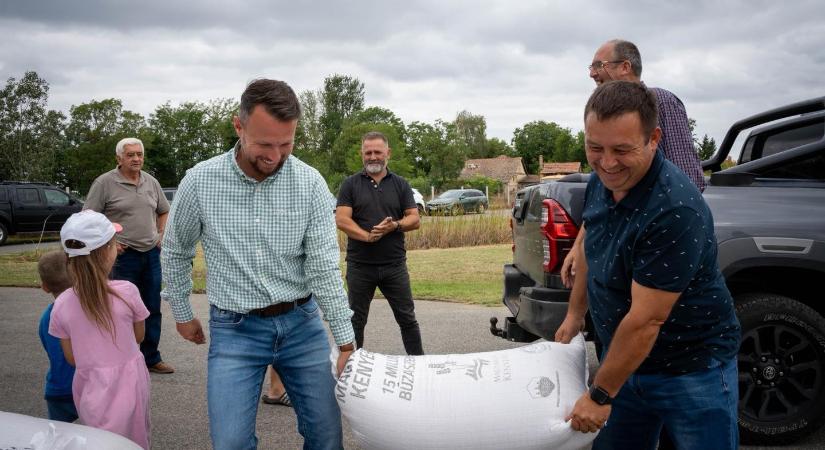 Szél István: több búzát adtak össze a gazdák az első nap, mint tavaly