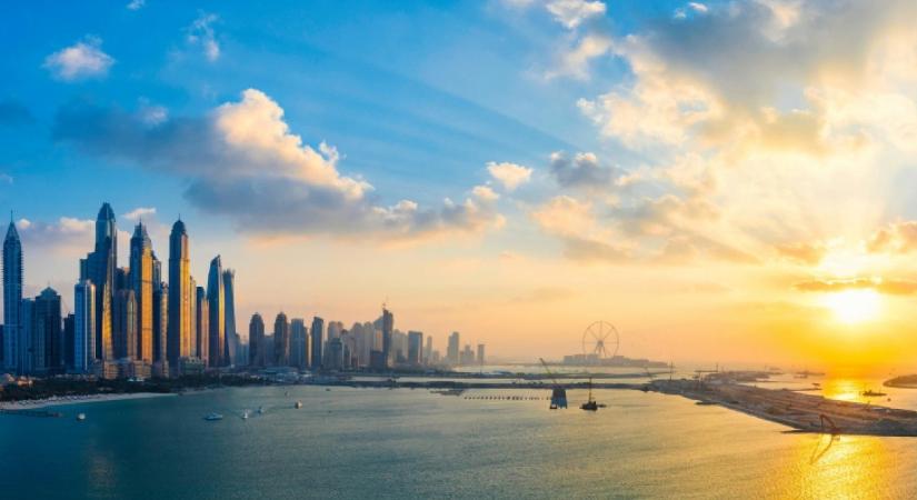 Új felvételek mutatják be a virágzó tengeri élővilágot és az ökoszisztéma növekedését Dubaj vizein