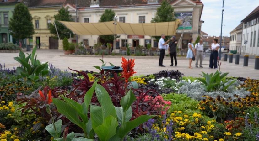 Pápa is versenyben a zöld jövőért