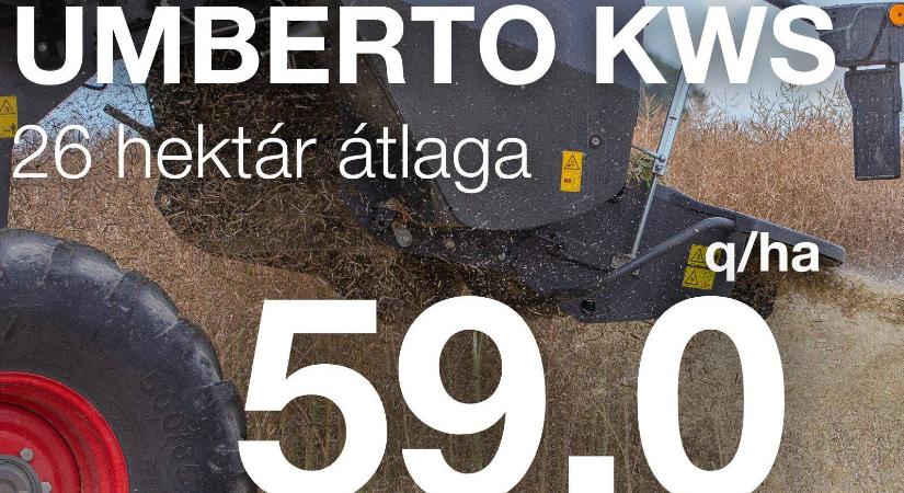 Majd a mázsa megmondja!