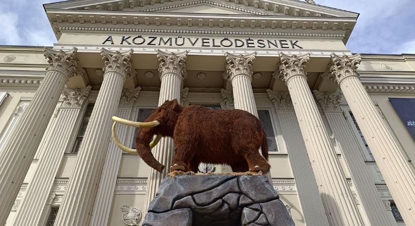 Kitört a mamut láz Szegeden: ingyenes a Móra-múzeum legnagyobb szenzációja – galériával