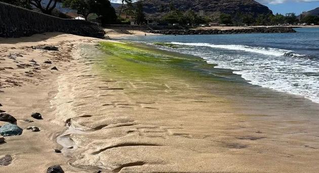 Óceán rejtette üzenetek Hawaii partjainál