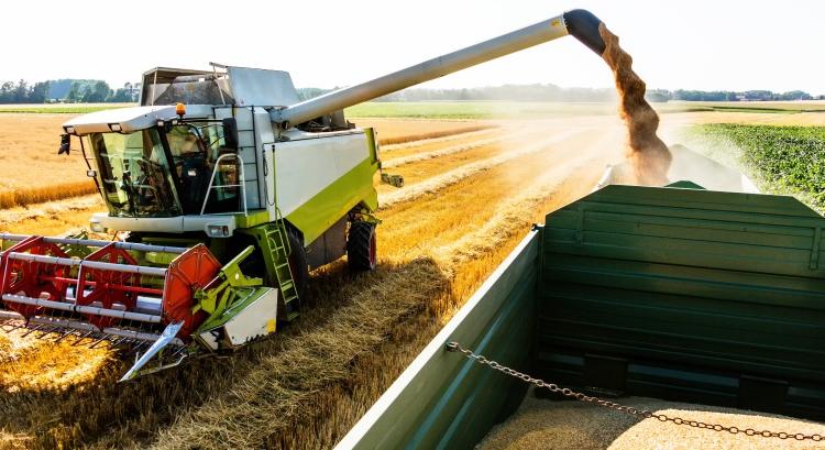 A hatékonyságnövelés lett az agrárium legfontosabb célja