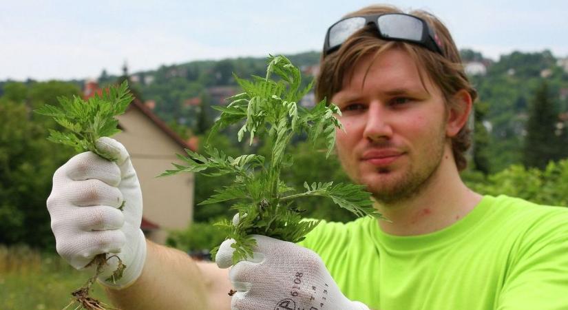 Azt hiszed, a bírság csak üres fenyegetés? Így csapnak le a kertedre az ellenőrök