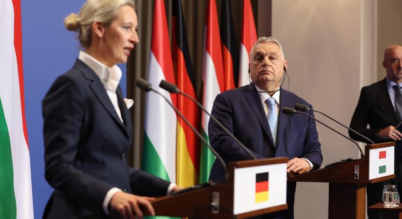 Megint az AfD-s Alice Weidellel tárgyalt Orbán