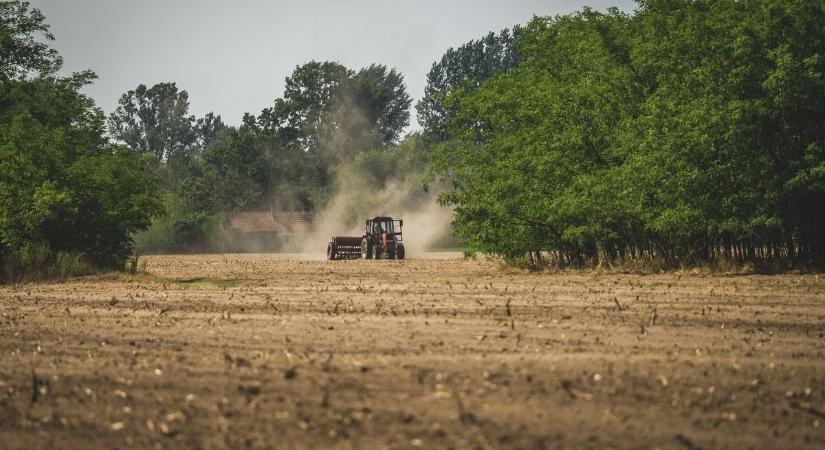 Beruháznának a hazai agrárvállalkozások, de nem ész nélkül