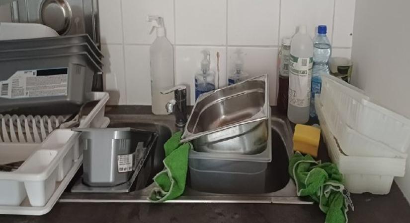 Légy a fagyiban, káosz a pulton: lehet, hogy itt ettél legutóbb!
