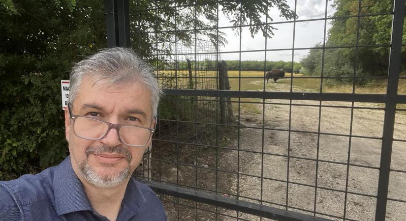 Hadházy Ákos bölényt, kerítést, sőt, hosszú kerítést is mutatott Hatvanpuszta mellett és körül