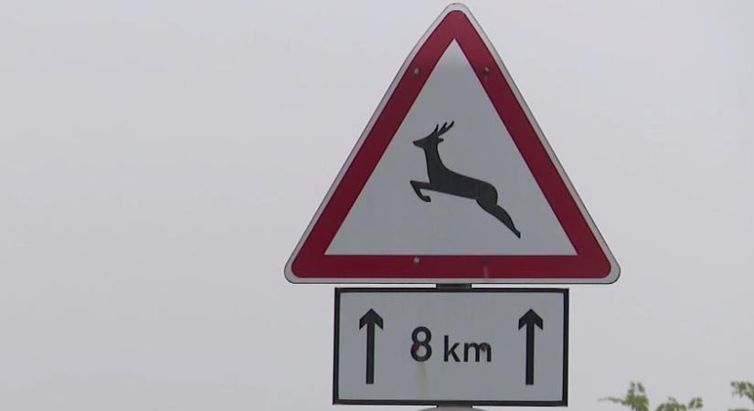 Radar – Életveszély az utakon  videó