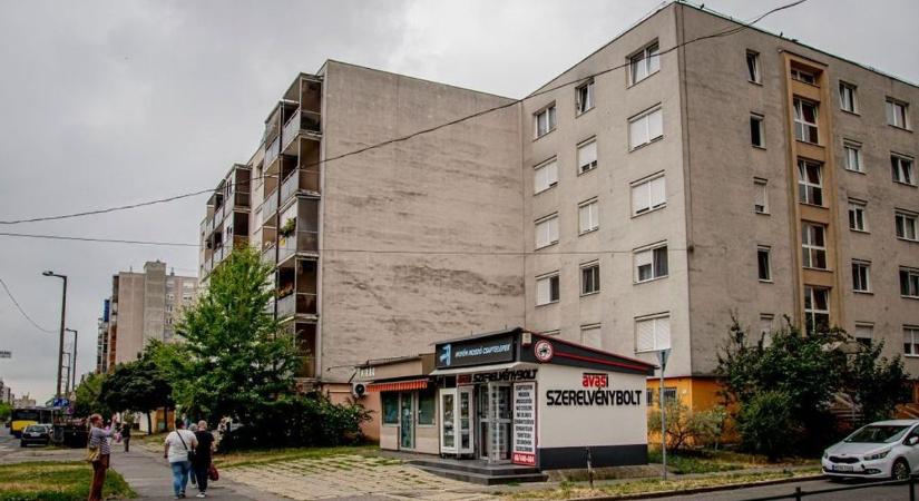 Hívja Zolit! Minden miskolci tudja, ki ő... vagy mégsem?