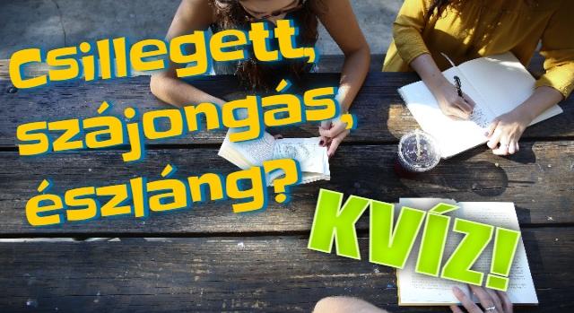 Kvíz: Tudod mit jelentenek ezek a régi magyar kifejezések?