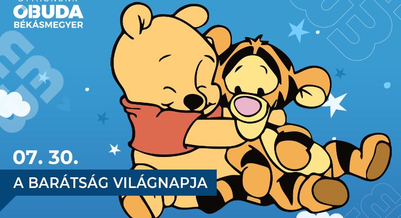 „Néha a legkisebb dolgok foglalják el a legnagyobb helyet a szívedben.” – Július 30. a barátság világnapja