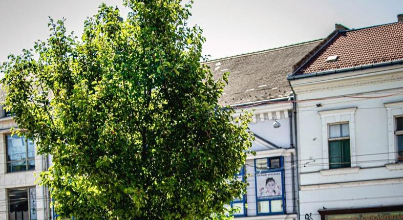 Szerda még az a nap lehet, amikor hátradőlhetnek, akik nem bírják a kánikulát