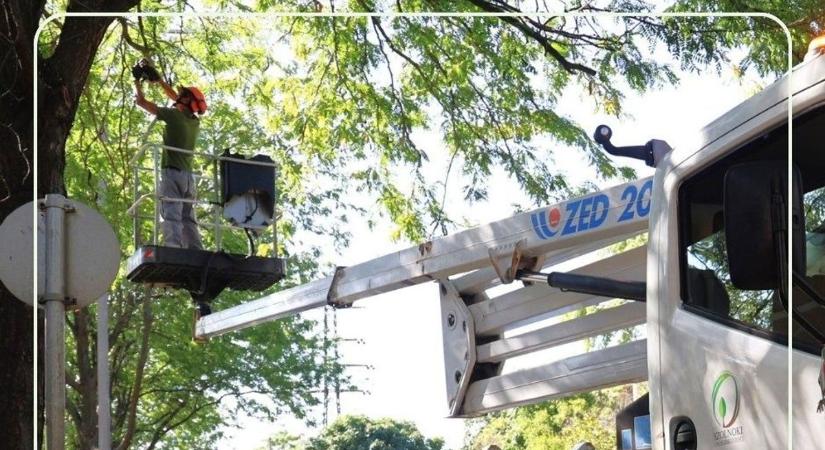 Forgalomkorlátozás Szolnokon: a jelzőlámpák láthatósága érdekében dolgozik a városüzemeltetés