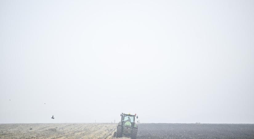 Repülőrajtnak sovány: a második negyedévben 0,2 százalékkal nőtt, de a félév egészében 0,1 százalékkal visszaesett a gazdaság