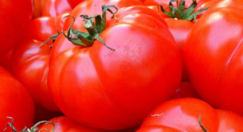 „Előre ment, nem hátra” a magyar gazdaság a II. negyedévben, már csak a tempót kell gyorsítani