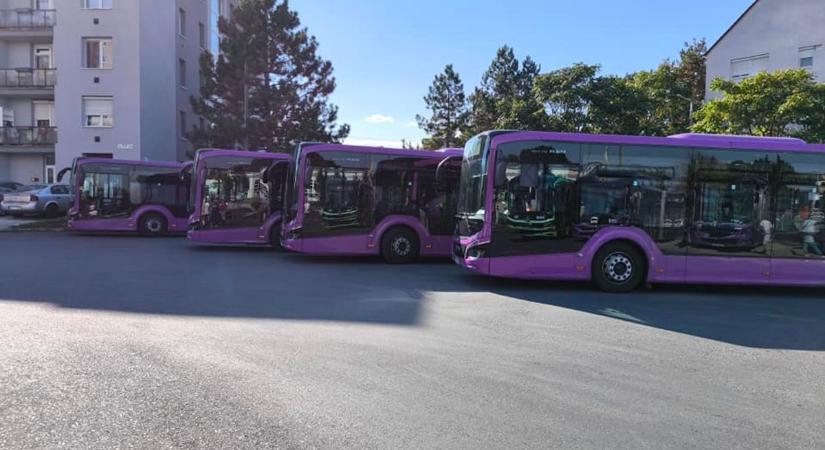 Változik a veszprémi buszmenetrend: ezek a legfontosabb tudnivalók