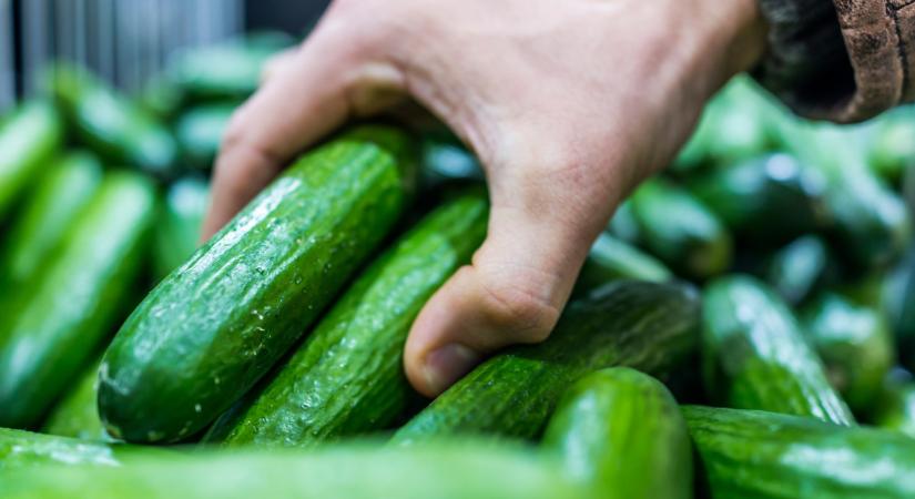 Letarolja Európát ez az afrikai zöldség: eláraszthat mindent