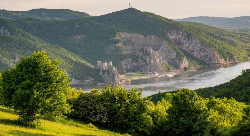 Szerbia vízhiánya borzasztó következményekkel jár: ezek az állatok szenvedik meg a legjobban