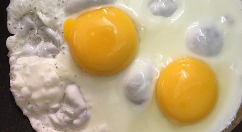 Mégse növeli a koleszterinszintet a tojásevés?