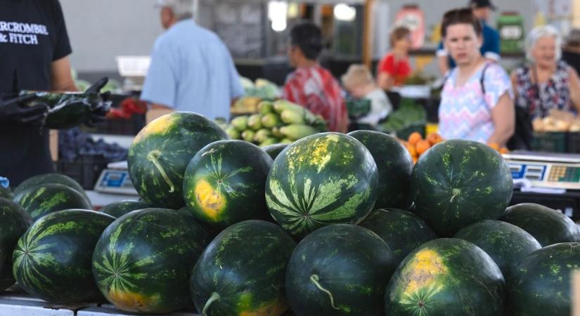 Csúcsán a dinnyeszezon, óriási árkülönbségek az elárusítóhelyeken
