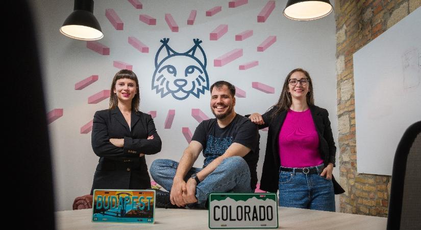 Több, mint 460 millió forintos árbevétellel zárta első üzleti évét a Bobcats Coding